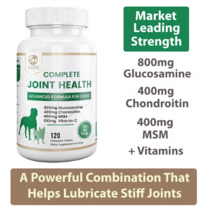 glucosamine and chondroitin for dogs