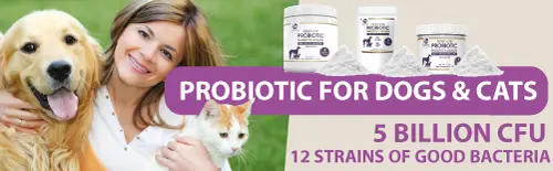 Petastical Probiotic for Dogs and Cats