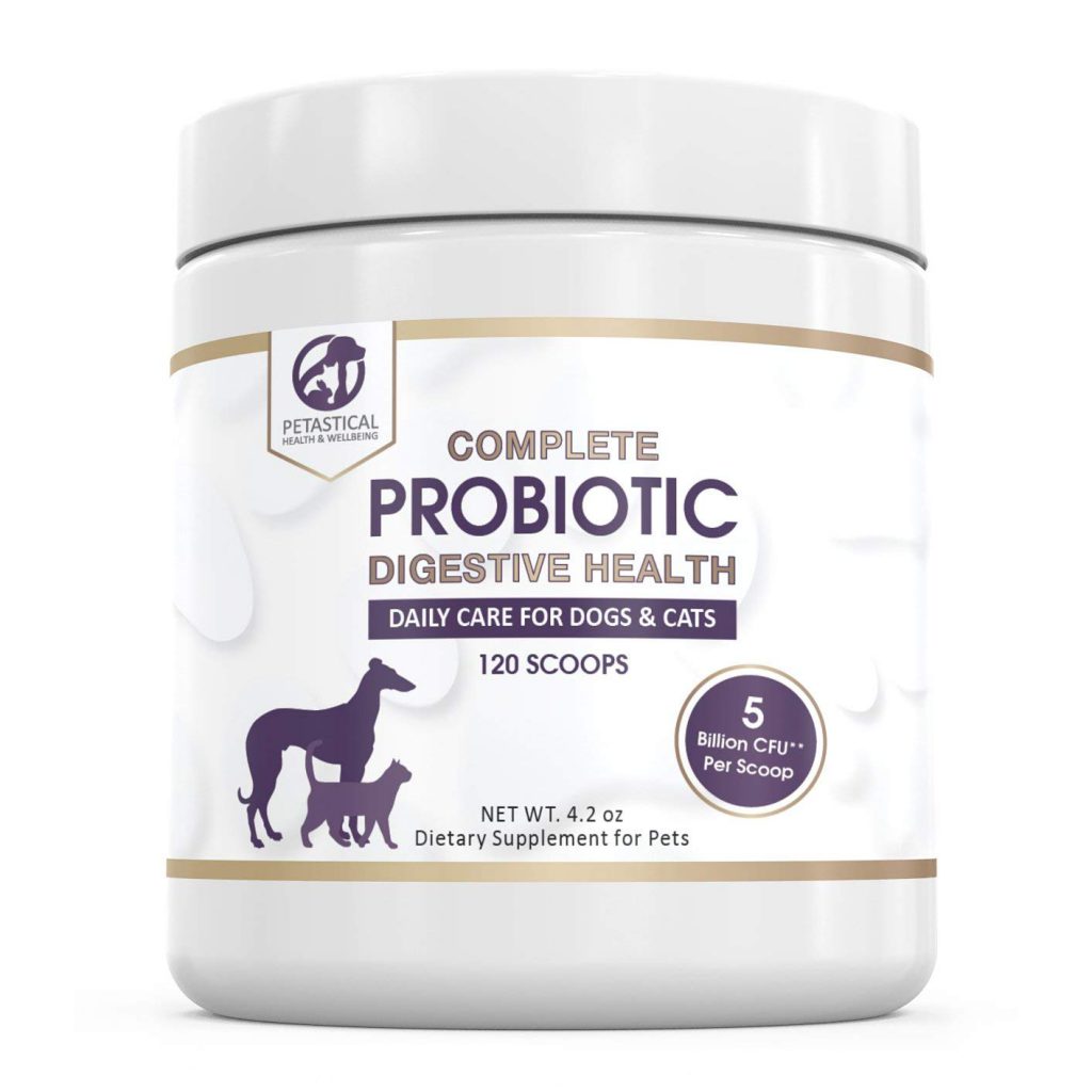 Petastical Probiotic Powder for Dogs and Cats (120 Scoop) Petastical