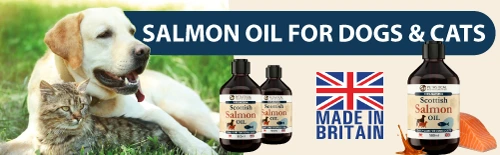 Salmon Oil for Dogs Cats Puppies