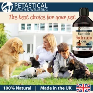 Salmon Oil for Dogs Cats Puppies Salmon Oil for Dogs Cats Puppies