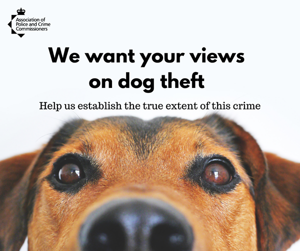 We wnat your views on dog theft