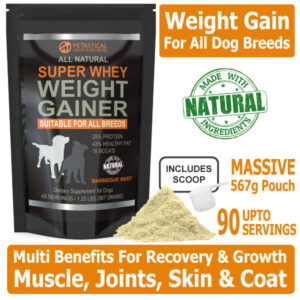 gainer whey