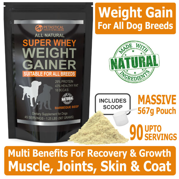 Petastical Dog Weight Gainer Supplement All Natural Super Whey Protein Powder Suitable For All