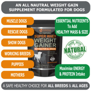 gainer whey