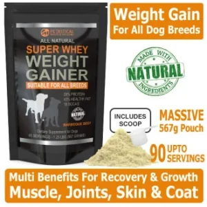 Petastical Weight Gain for Dogs