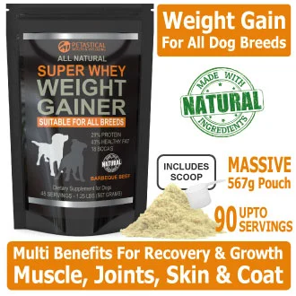 Dog Weight Gainer Whey Protein Powder Petastical