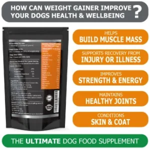 Petastical Weight Gain for Dogs