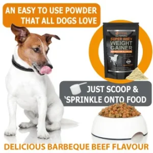 Petastical Weight Gain for Dogs