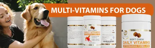 Petastical Vitamins for Dogs