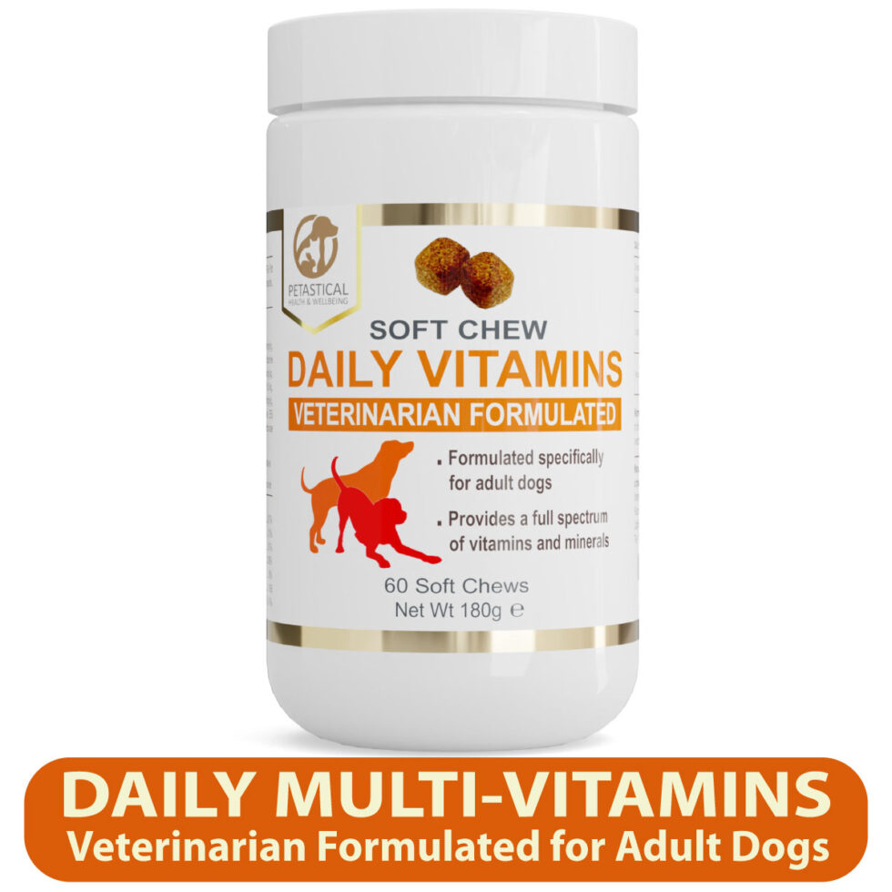 Daily multi vitamins and minerals for dogs petastical