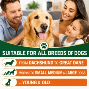 Joint Supplement for Dogs Glucosamine Turmeric Green Lipped Mussels