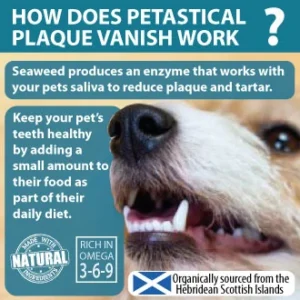 Plaque Remover for Dog and Cats