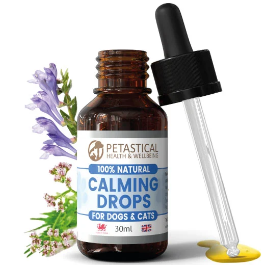Calming-Drops-for-Dogs-Cats-1b-520x520 Dog Calming, Scullcap Valerian for Dogs, Cats