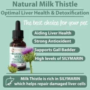 Milk-Thistle-Dogs-Cats-5_330x330 Milk Thistle for Dogs Cats, Silymarin Antioxidant
