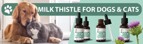 Milk Thistle for Dogs Cats, Silymarin Antioxidant