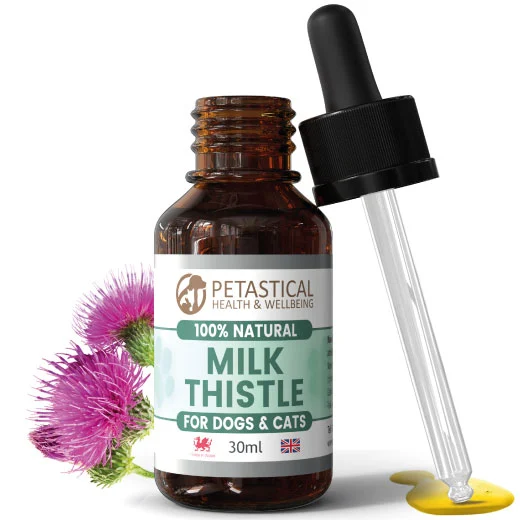 Milk Thistle for Dogs Cats, Silymarin Antioxidant Milk Thistle for Dogs Cats, Silymarin Antioxidant