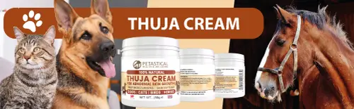 Thuja Cream for Dogs, Cats, Birds, Horses, Small Animals