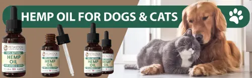 Hemp Oil for Dogs Cats