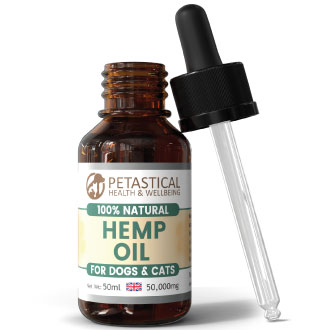 Hemp Oil Dogs Cats Hemp Oil Dogs Cats