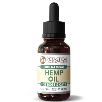 Hemp Oil Dogs Cats Hemp Oil Dogs Cats