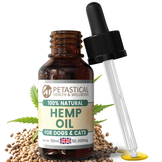 Hemp Oil for Dogs Cats