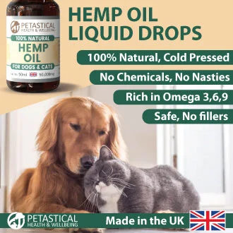 Hemp Oil Dogs Cats Hemp Oil Dogs Cats