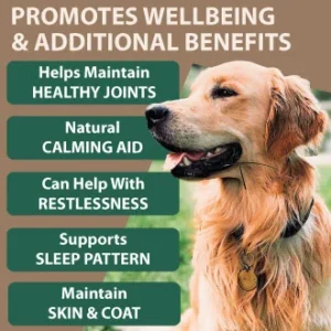 Hemp Oil for Dogs Cats