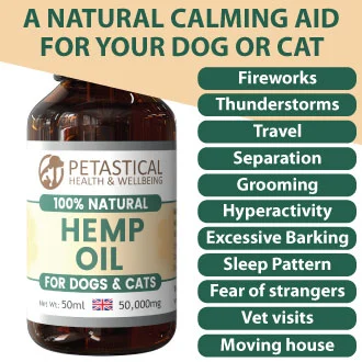 Hemp Oil for Dogs Cats