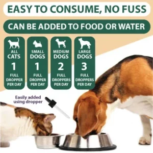 Hemp Oil for Dogs Cats