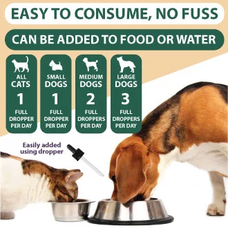 Hemp Oil for Dogs Cats Hemp Oil for Dogs Cats