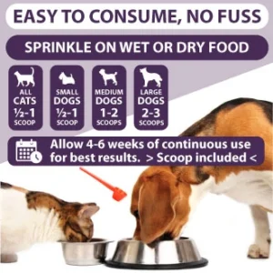 Prebiotic Probiotic for Dogs Cats Digestive Health Chicory Inulin