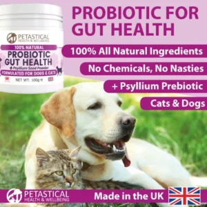 Probiotic Gut Health Psyllium Powder for Dogs and Cats