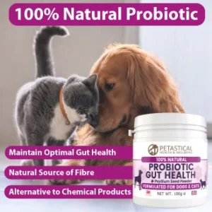 Probiotic Gut Health Psyllium Powder for Dogs and Cats