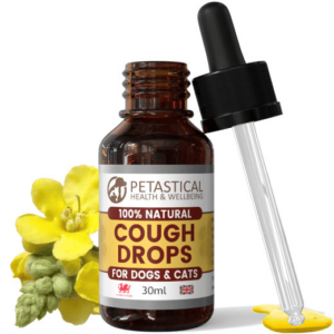 Kennel Cough Drops for Dogs and Cats. Mullein Leaf Complex
