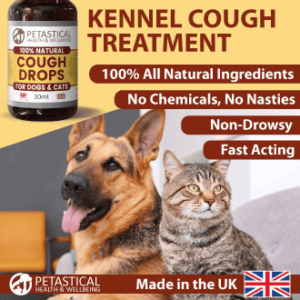 Kennel Cough Drops for Dogs and Cats. Mullein Leaf Complex