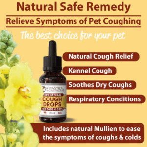 Kennel Cough Drops for Dogs and Cats. Mullein Leaf Complex