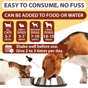 Kennel Cough Drops for Dogs and Cats. Mullein Leaf Complex