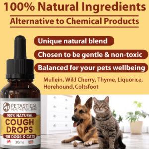 Kennel Cough Drops for Dogs and Cats. Mullein Leaf Complex