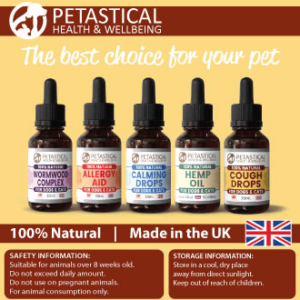 Kennel Cough Drops for Dogs and Cats. Mullein Leaf Complex