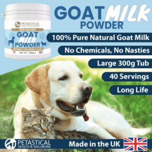 Goat Milk Powder for Dogs Cats Goat Milk Powder for Dogs Cats
