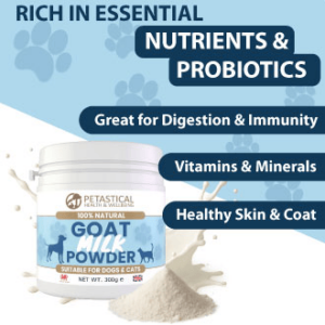 Goat Milk Powder for Dogs Cats Goat Milk Powder for Dogs Cats