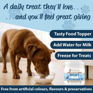 Goat Milk Powder for Dogs Cats Goat Milk Powder for Dogs Cats