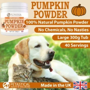 Pumpkin Powder for Dogs Cats Pumpkin Powder for Dogs Cats