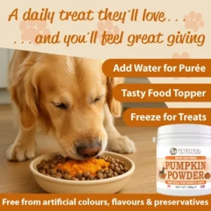 Pumpkin Powder for Dogs Cats Pumpkin Powder for Dogs Cats