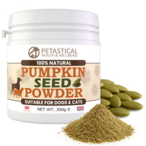 Pumpkin Seed Powder for Dogs Cats Pumpkin Seed Powder for Dogs Cats