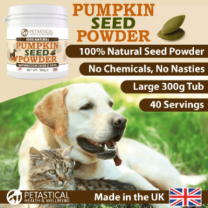Pumpkin Seed Powder for Dogs Cats