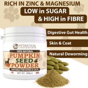 Pumpkin Seed Powder for Dogs Cats
