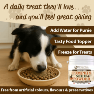 Pumpkin Seed Powder for Dogs Cats